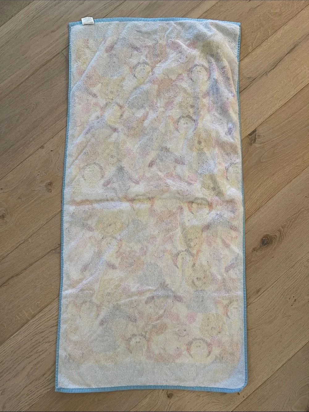 The Wonderful World of Disney Winnie The Pooh and Friends beach towel